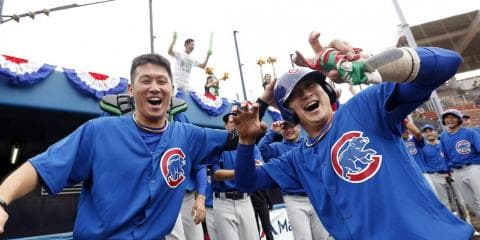 MLBドリームカップ　フォトギャラリー１