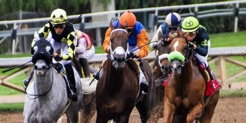 女性騎手G1初騎乗の藤田菜七子、フェブラリーSは５着健闘