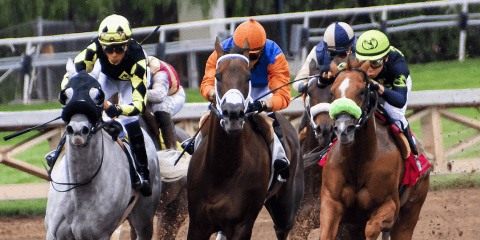 菜七子とコンビ継続！コパノキッキング、次走は「東京スプリント」に決定