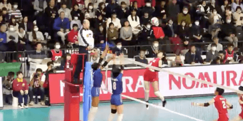 第5日女子決勝　金蘭会（大阪）× 東九州龍谷（大分）4DREPLAY動画③