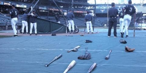 野球バットの異変 ～アオダモに代わる素材を求めて「北緯42度線」から～