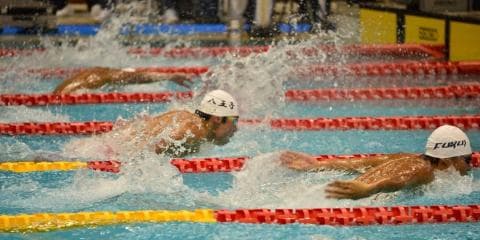 飛び込み 競技ガイド