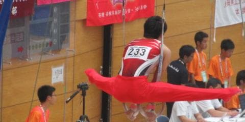 体操 競技ガイド