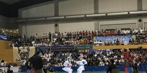 空手道 競技ガイド