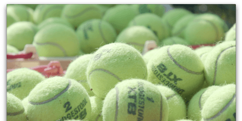 カレッジ界のテニスNo.1は？ 過去には有名選手も出場した全日本学生テニス選手権