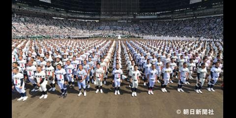 大会10日目見どころ 八戸学院光星 昨夏のリベンジなるか3回戦に登場