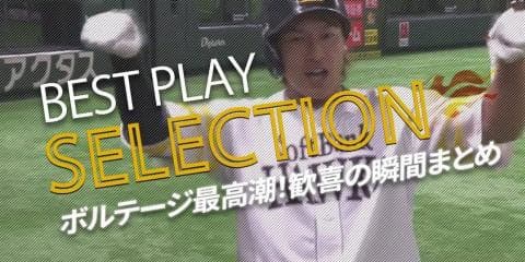 【パ・リーグ BEST PLAY SELECTION】8月のHRから厳選 ボルテージ最高潮！歓喜の瞬間まとめ