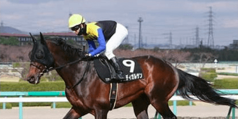 穴党記者が京成杯AHを徹底分析。開幕週でも狙いは末脚自慢の４頭だ