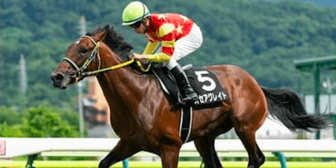 春の実績馬が不在のセントライト記念。狙いは人気薄の夏の上がり馬