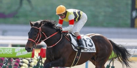 「２強」断然の神戸新聞杯。一角崩しの期待は先行する上がり馬２頭