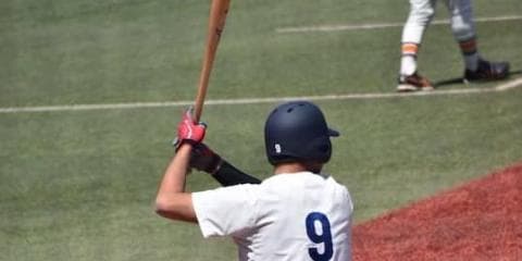 【東京六大学野球】オレンジ打線、4連勝！秋連覇目指す 圧倒の第2週