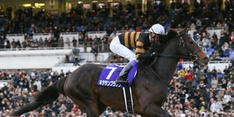 キタサンブラックの全弟、エブリワンブラックは初陣から天才が騎乗