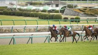 有馬記念、リスグラシューが有終Ｖ　アーモンドアイ敗れる