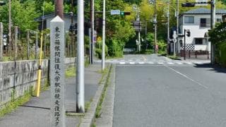 青学メンバーへ〇〇旅行？！原監督からのご褒美は？