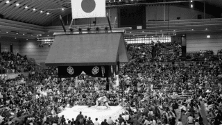 波乱を見せる大相撲初場所　両横綱が黒星