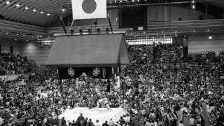 豪栄道の負け越しが決定　在位33場所、大関陥落へ