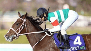 チューリップ賞は名マイラーの血統を受け継ぐ先行馬が逃げ切るか