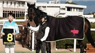 桜戦線に期待の新星登場。世代屈指の瞬発力を持つデアリングタクト