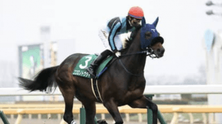 スプリングＳは伏兵４頭にご用心。３歳重賞は１番人気が未勝利で波乱再び