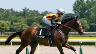 高松宮記念は能力ある「３強」が中心。一角崩しなら勢いある４歳牝馬