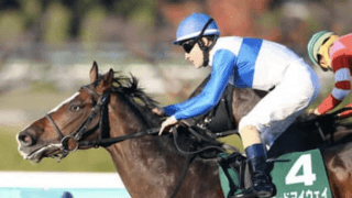 大阪杯の狙い目はＧⅠ未勝利馬。コース適性は抜群＆血統的にもイケる