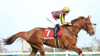 ＧＩ昇格後は好配当が続く大阪杯。狙える穴馬のパターンは２つある