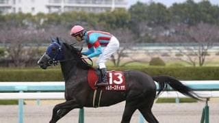 桜花賞の最有力候補。マルターズディオサは万全の態勢で決戦に挑む