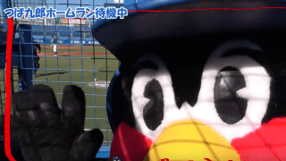 つば九郎 ハンディカメラ片手にホームラン待機