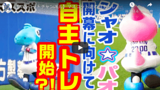中日ドラゴンズのマスコットたちも開幕に向けて自主トレ！