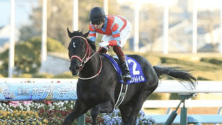 皐月賞は「３強」とは限らない。レースに縁がある１頭に激走の予感
