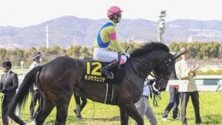 皐月賞は過小評価の実力馬４頭に注目。馬場次第でオイシすぎる結末も