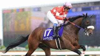 マイラーズＣで狙える３頭。過去の結果から好配当のニオイがプンプン