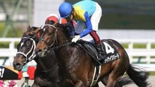 ダービー出走へ。フライライクバードは2400ｍ戦連勝の強みを生かせるか