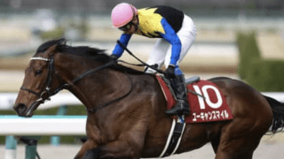 天皇賞・春の本命は、血統よりステップレースとの相性を重視