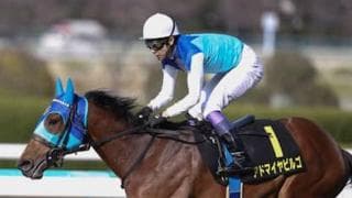 「６億円馬」アドマイヤビルゴがダービーの前哨戦で見せる真骨頂