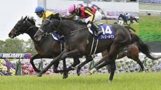 フィエールマンが天皇賞・春を連覇。「ハナ差」で示した格の違いと底力