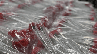 東京六大学野球部員たちが母の日プレゼント