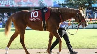 NHKマイルＣは荒れる。穴党記者が馬場状況を吟味して厳選した４頭