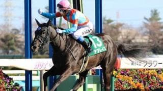 無傷の２連勝でオークスに挑むアブレイズ。「2400ｍの距離は大丈夫」