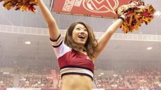 YU-KI - IRIS（川崎ブレイブサンダース） / CHEER #43