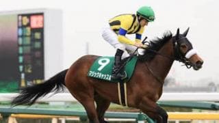 穴党記者が腕ぶすオークス。舞台変わってリベンジ期す４頭に刮目せよ