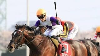 ダービーでもガロアクリークは軽視禁物。皐月賞３着もフロックではない