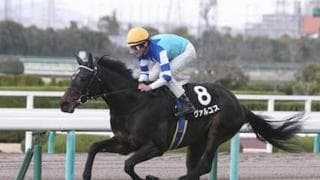 ダービーで激走が望めるのは、前哨戦組、皐月賞好走組、３番人気の馬だ