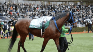 10万円超えの高配当が続出。マーメイドＳは軽ハンデの条件馬で荒稼ぎ