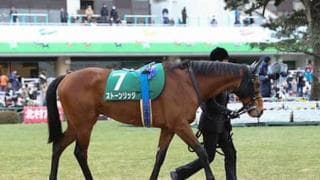 「マカヒキに近い」ヨーホーレイク。一族悲願のＧＩ奪取は果たせるか