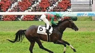 秋への飛躍につながるラジオNIKKEI賞。人気薄でもコース実績馬で勝負