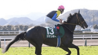 七夕賞で年に１度は夢見る100万馬券。短冊に記すべき穴馬は４頭いる