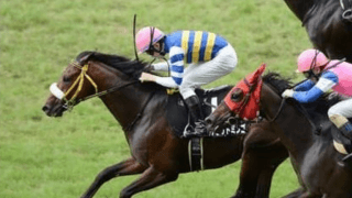 七夕賞はコース適性と好調度を重視。血統的にも向いている2頭で勝負