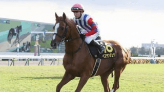 中京記念は大ベテラン馬が狙い。先行力＆重馬場も苦にせず元気いっぱい