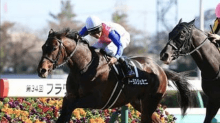 函館記念は高額配当が当たり前。意見割れた穴党記者が推す４頭の穴馬